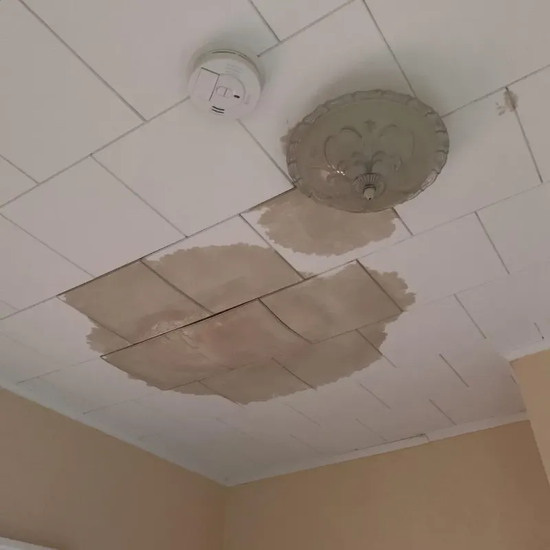 Ceiling Water Damage Repair in South Lawndale, IL