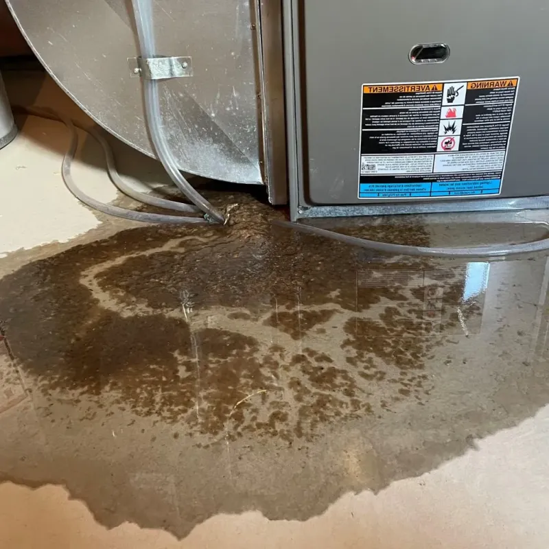 Pipe Burst and Leak Restoration in South Lawndale, IL