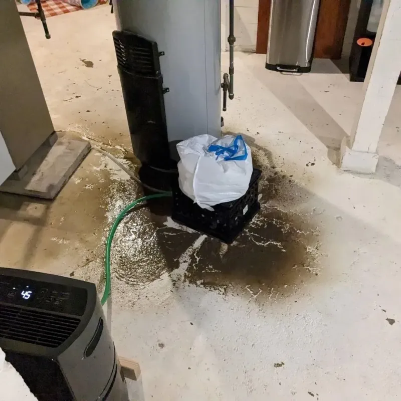 Sewage Backup Cleanup Service in South Lawndale, IL